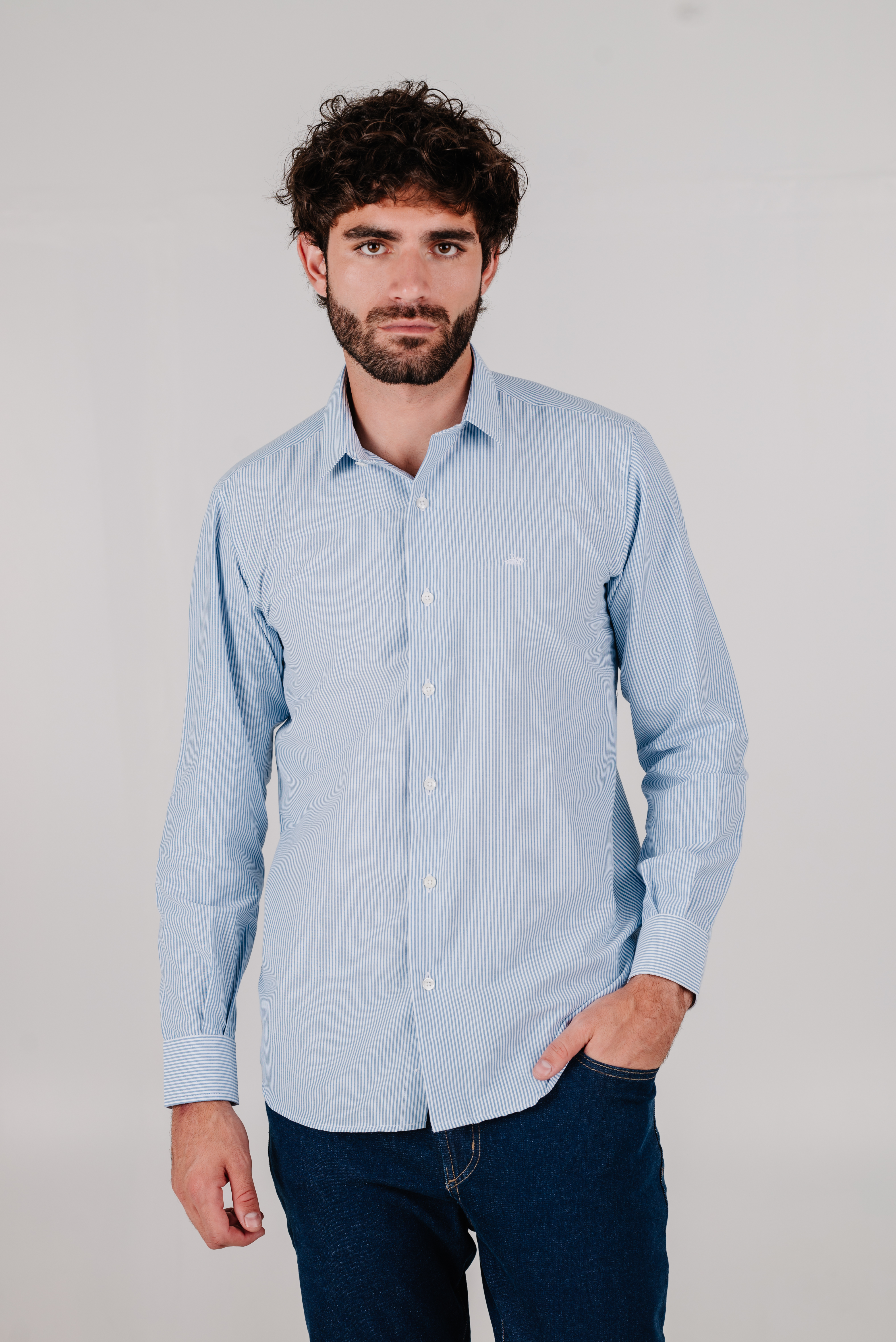 Camisa corte clásico / Rayada